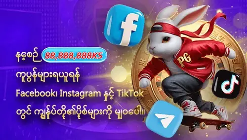 Social media follow ပရိုမိုးရှင်း